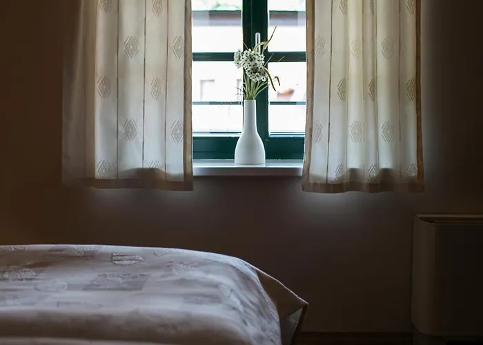 Pri Zabarju 3* Любляна