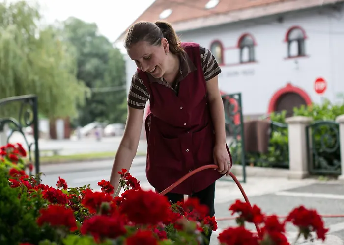 Pri Zabarju Любляна