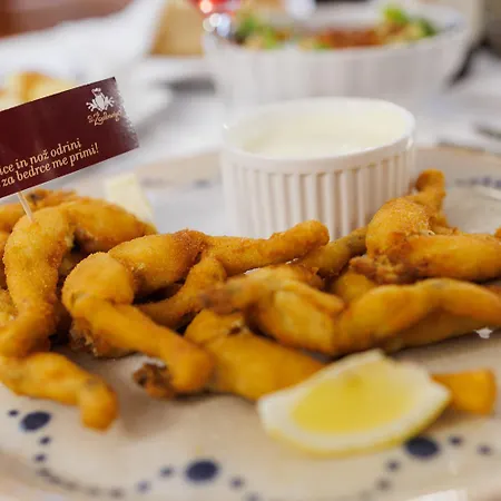 Pri Zabarju Guest house Ljubljana