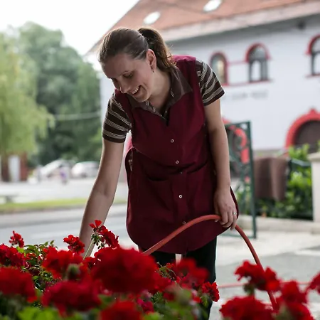 Pri Zabarju Ljubljana