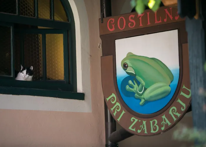 Maison d'hôtes Pri Zabarju